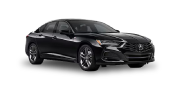 TLX 2019