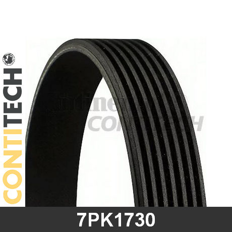 Contitech Cinghia Poly-V 7Pk1730 - Ricambi auto SMC