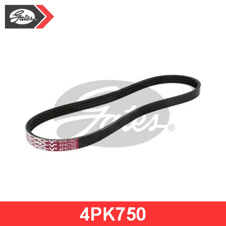 Ремень  750 (4PK) поликлиновой (Technik)