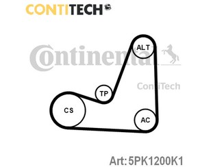 Ремень ручейковый к-кт для Renault Scenic II 2003-2009 новый