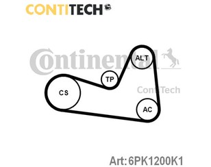 Ремень ручейковый к-кт для Renault Scenic II 2003-2009 новый