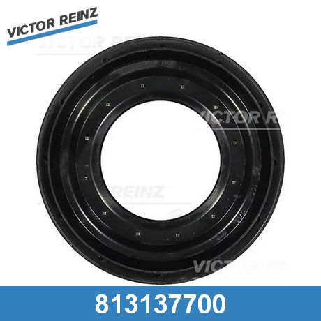 Сальник дифференциала