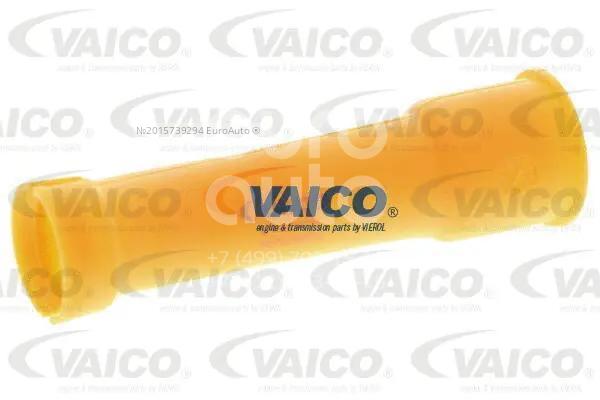 FT80701 FAST Tramoggia, Asta controllo livello olio FT80701 per FORD FIESTA, FOCUS, TRANSIT CONNECT ❱❱❱ prezzo e esperienza