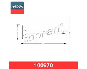 Клапан впускной для Audi 100/200 [44] 1983-1991 новый