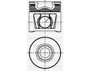 Поршень для Fiat Ducato 244 (+Elabuga) 2002-2006 новый