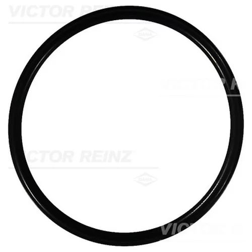 Кольцо уплотнительное (двигатель)