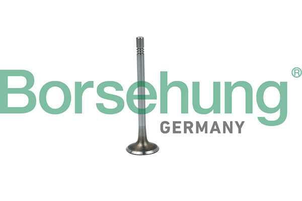 Клапан впускной