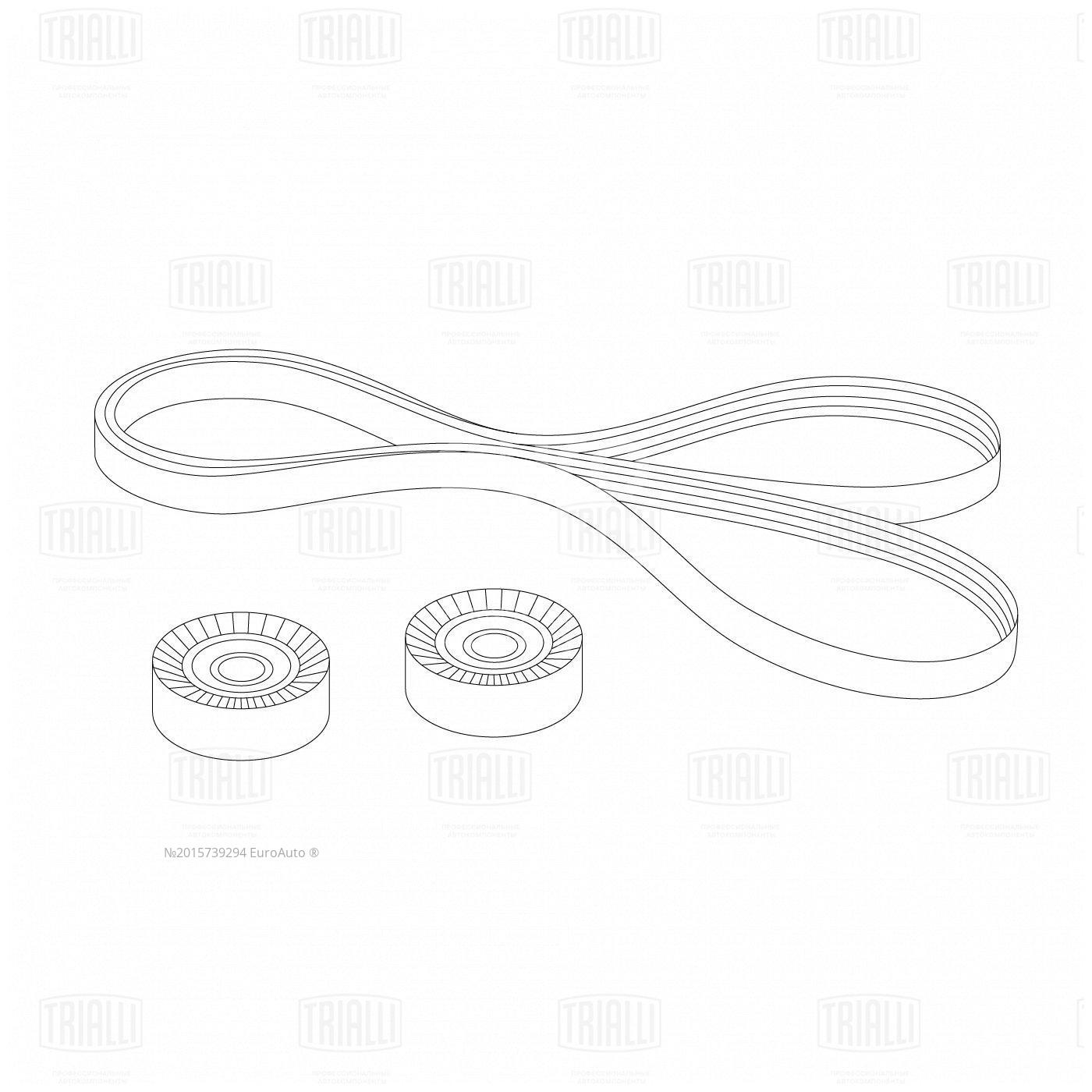 GD735 Trialli Ремень ручейковый к-кт от производителя по спец цене купить в  Симферополе
