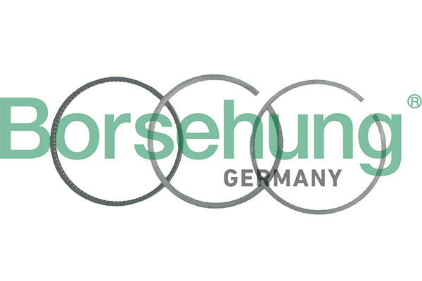 Кольца поршневые к-кт на 1 цилиндр