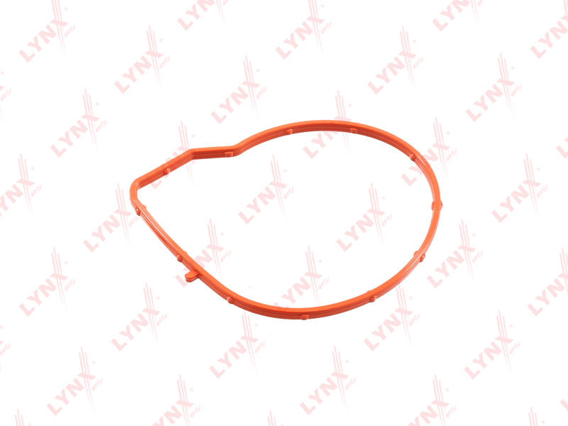 Прокладка помпы