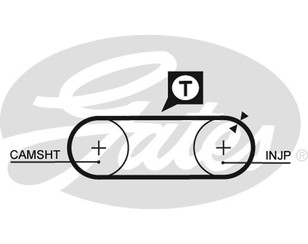 Ремень ТНВД 21 для Audi 100 [C4] 1991-1994 новый