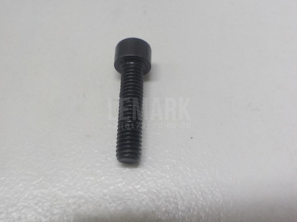 Болт 1170306253 Hyundai-Kia
