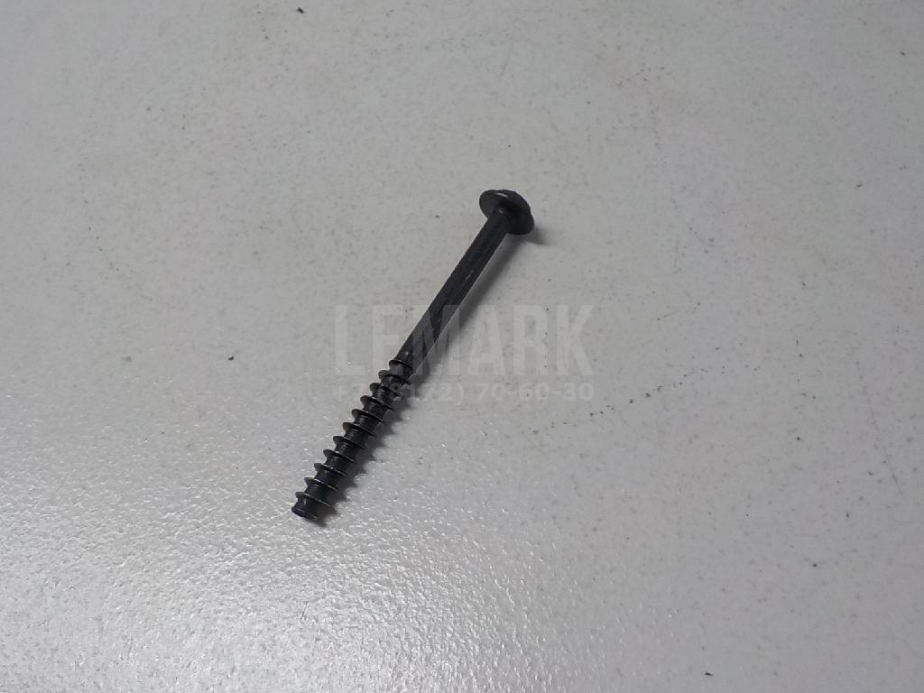 Винт N10668001 VAG