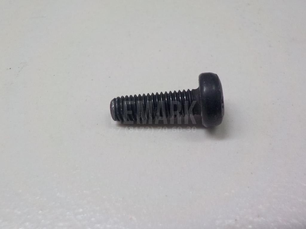 Винт N10488204 VAG