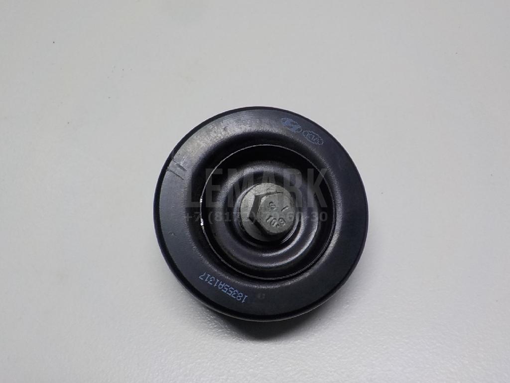 Ролик дополнительный руч. ремня 252872F000 Hyundai-Kia