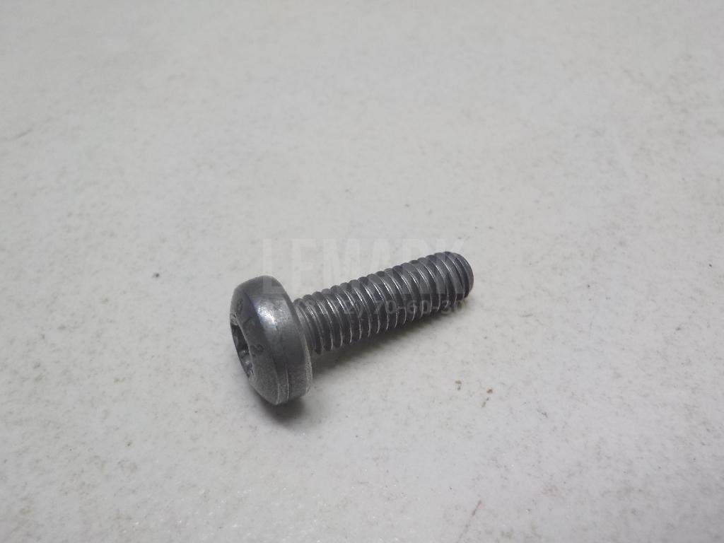 Винт N10124309 VAG