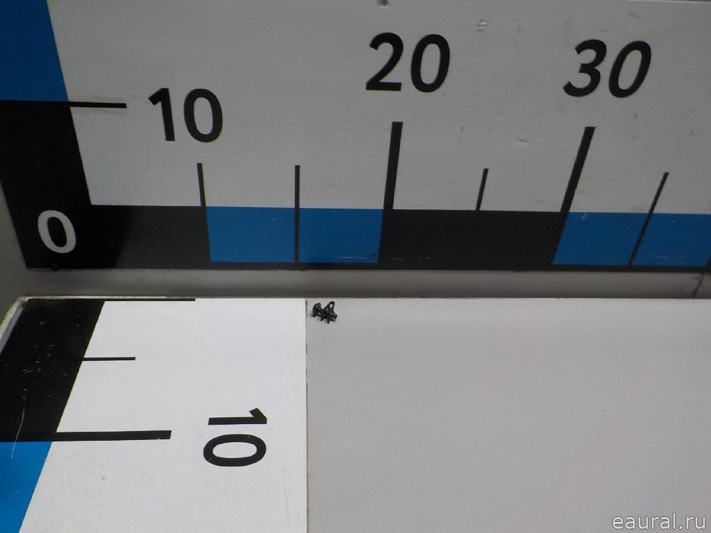 Винт