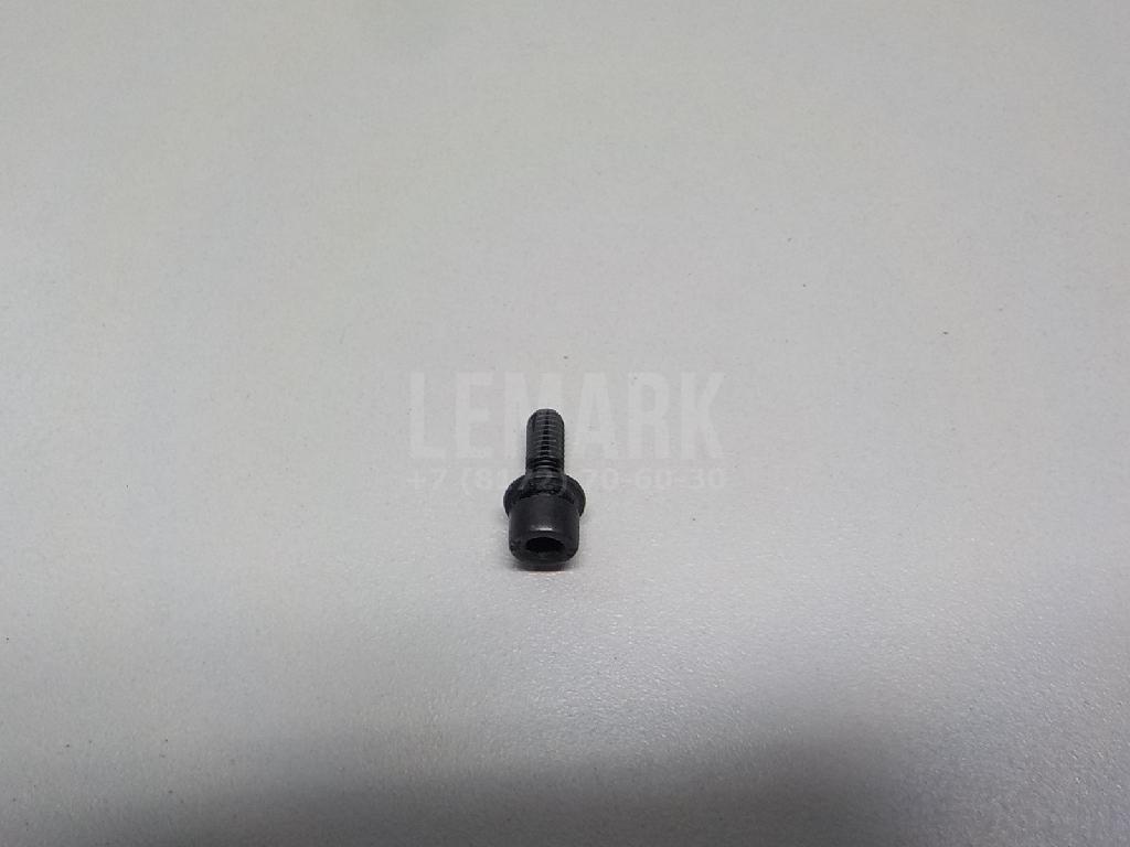 Винт N10131004 VAG