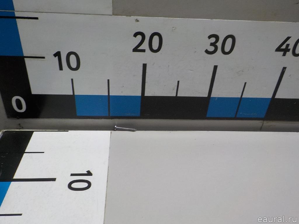Винт