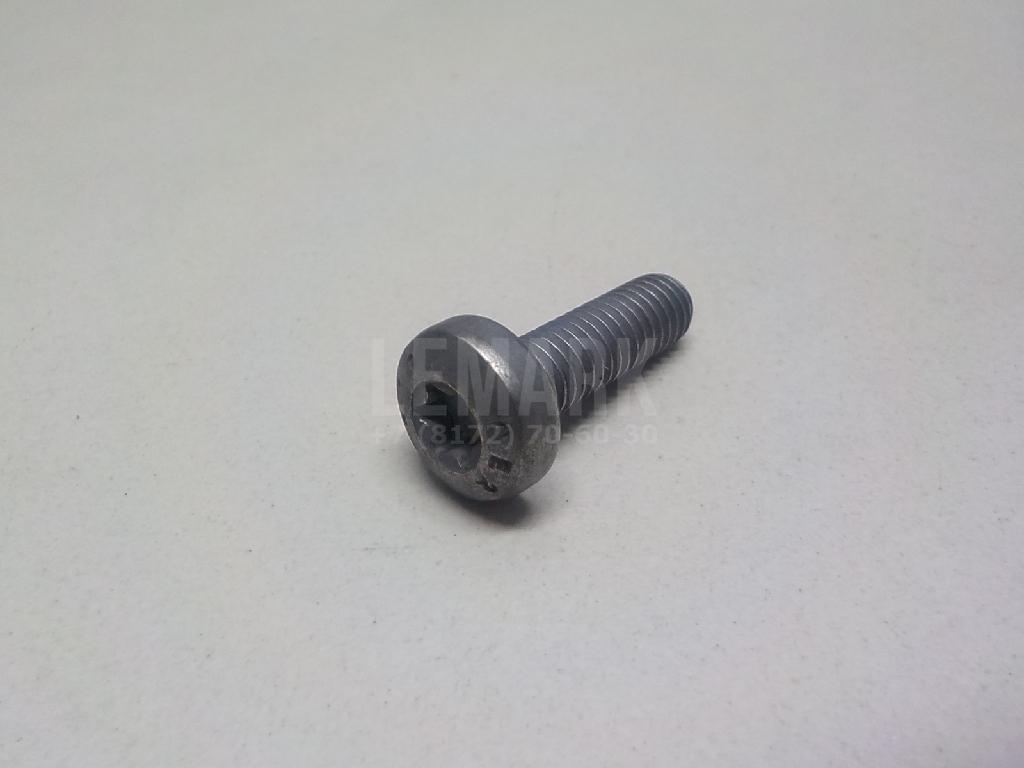 Винт N10124309 VAG