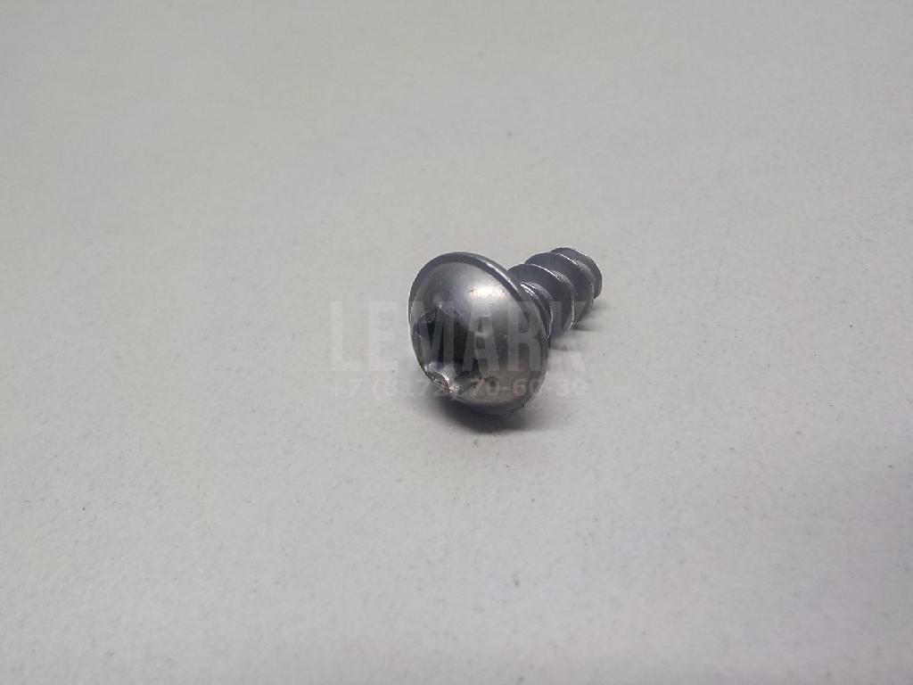 Винт N10683901 VAG