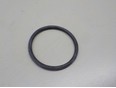 Кольцо уплотнительное (двигатель)