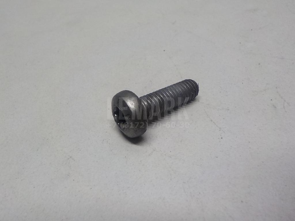 Винт N10124309 VAG