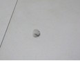 Крепеж (клоп)