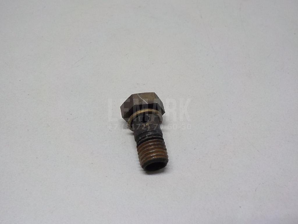 Болт полый для  BMW X1 F48 2014-2022