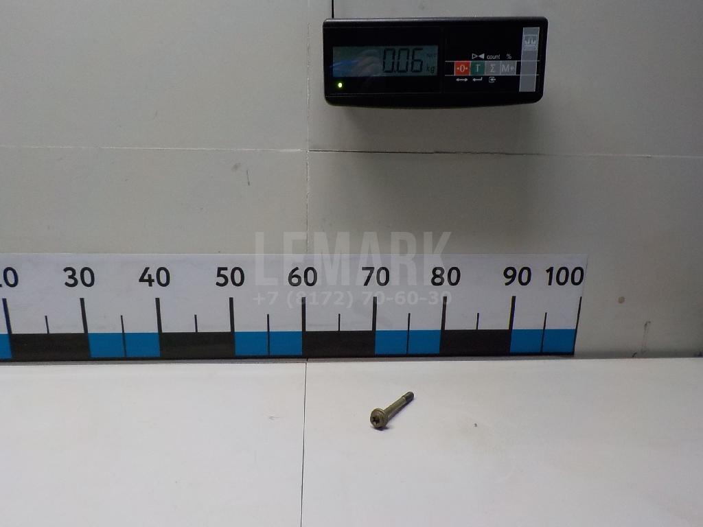 Болт распредвала 94502154 GM