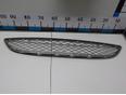 Решетка в бампер центральная