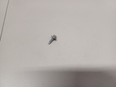 Болт