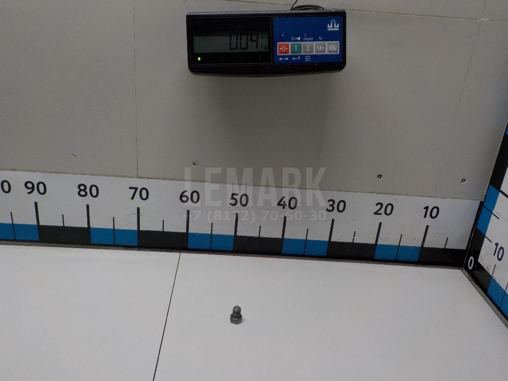 Пробка масляного поддона N90813202 VAG