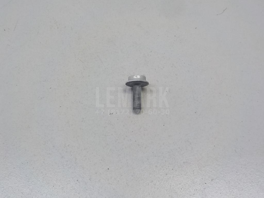 Болт крепления дверной петли N91049001 VAG