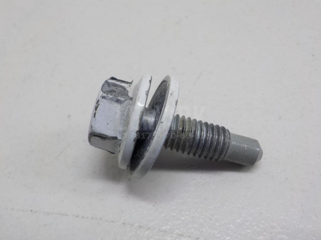 Болт крепления дверной петли 1431605 Ford
