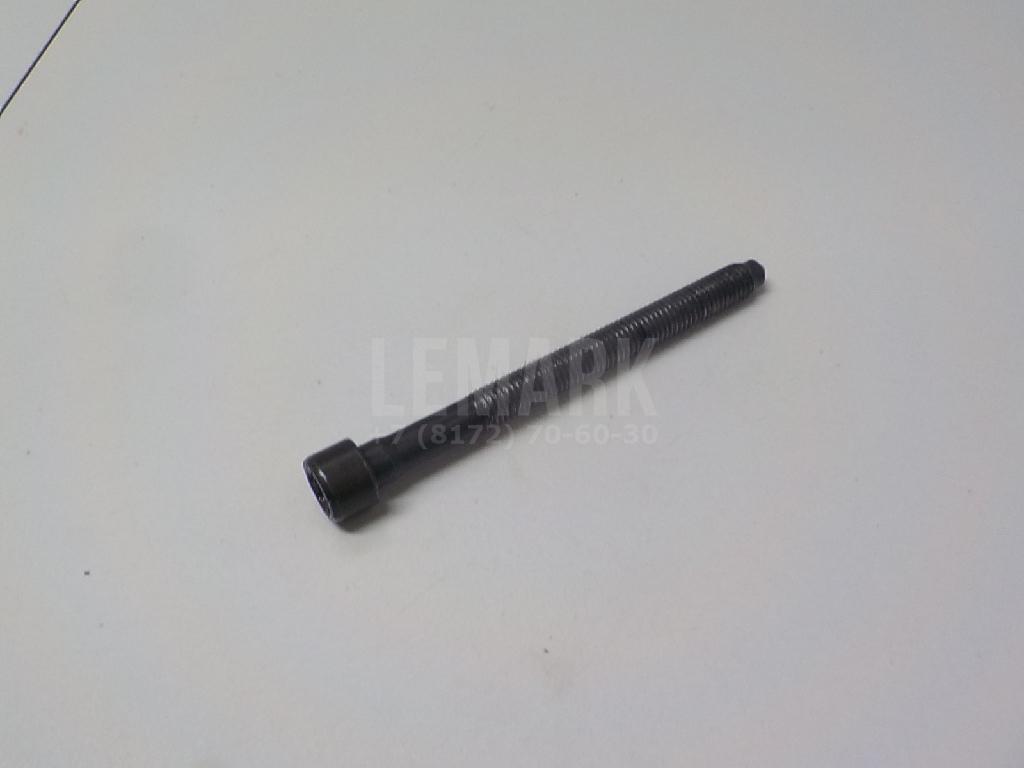 Болт головки блока 06D103385D VAG