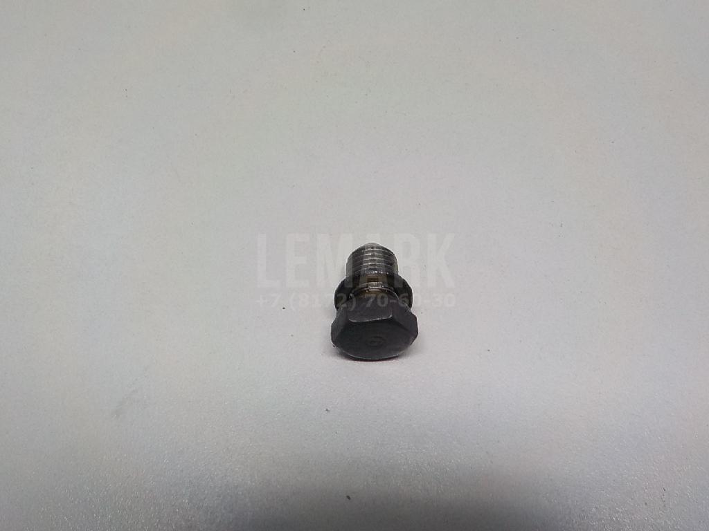 Пробка масляного поддона N90813202 VAG