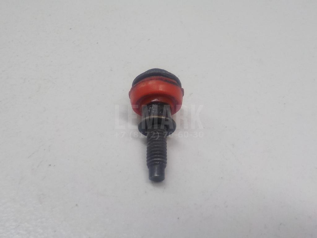 Болт клапанной крышки 06B103831J VAG