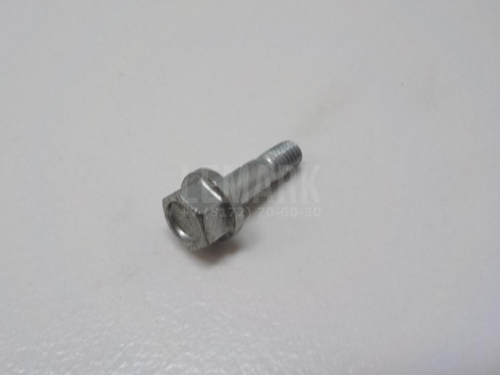 Болт полый 9040106002 Toyota