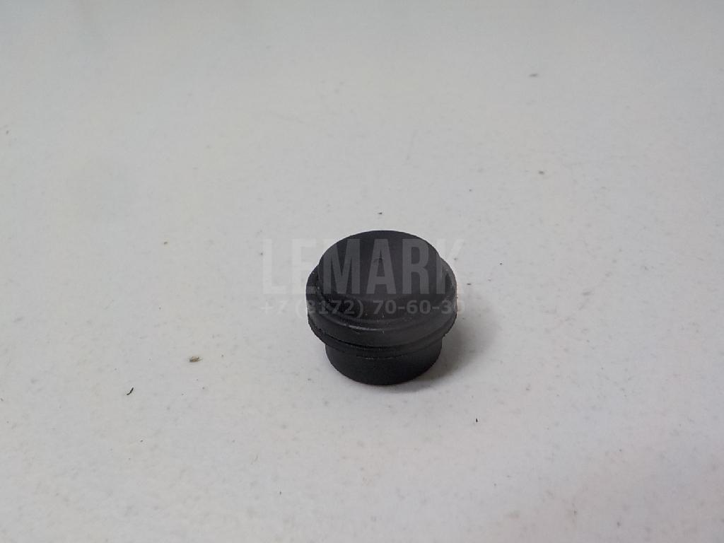 Пробка корпуса термостата 1338385 GM