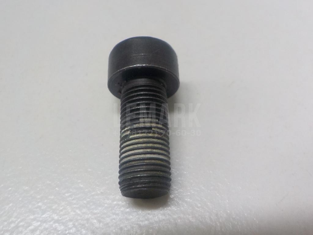 Болт маховика WHT009773 VAG