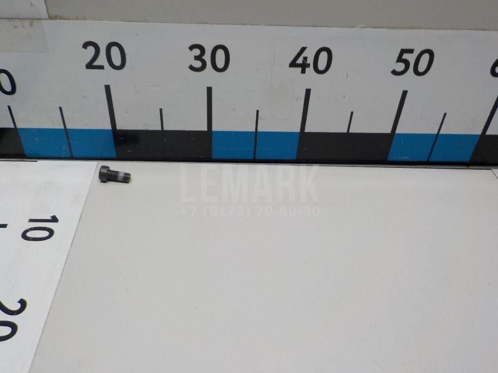 Болт маховика WHT009773 VAG