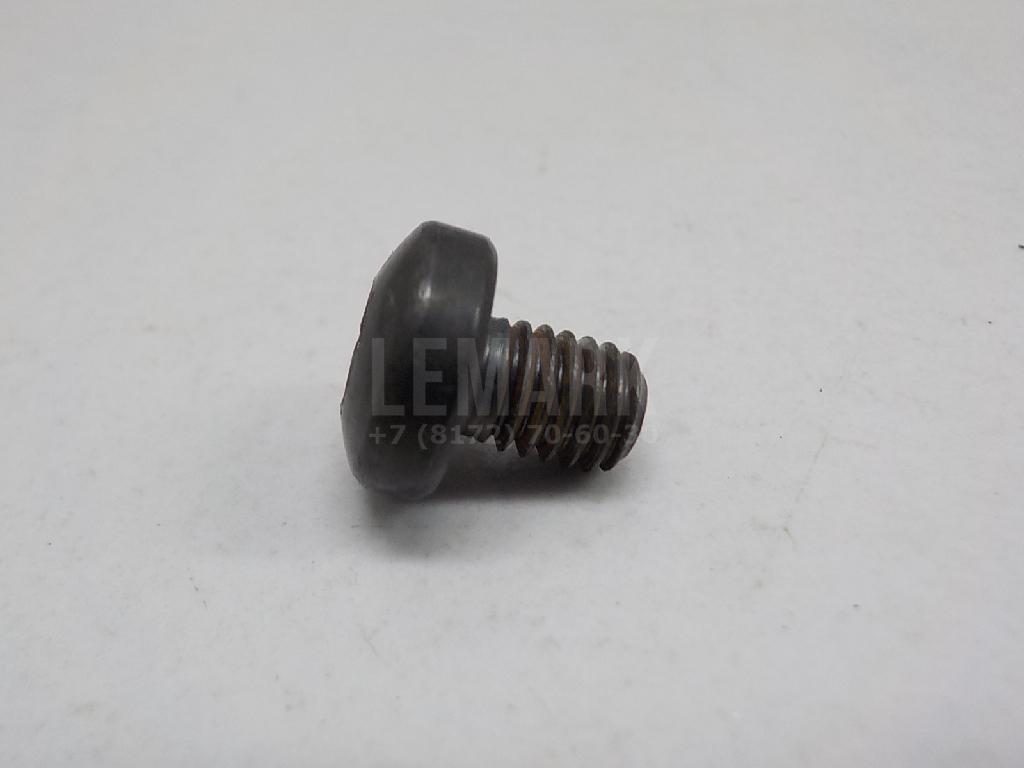Винт N10680301 VAG