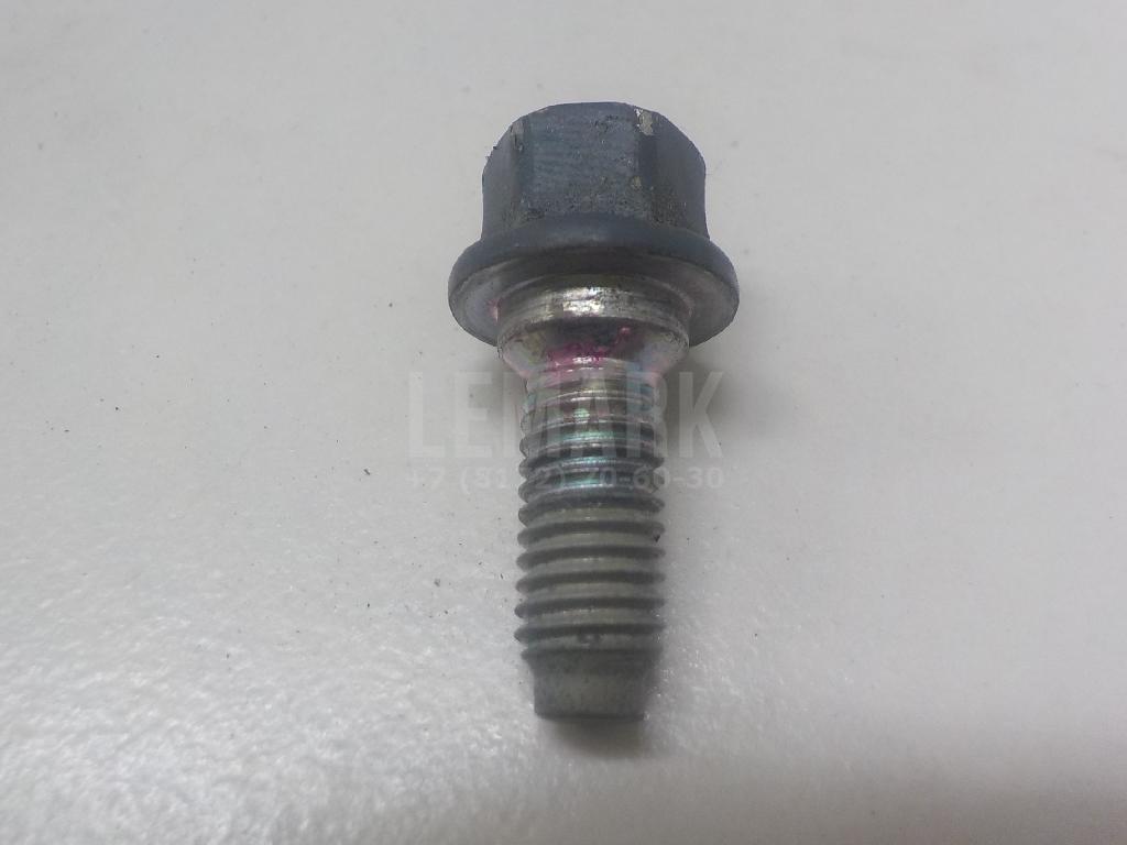 Болт крепления дверной петли 793593K100 Hyundai-Kia