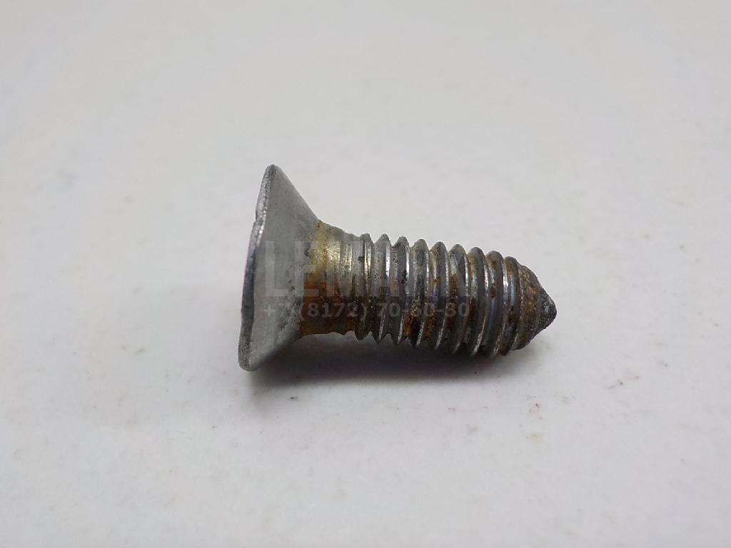 Винт N10648301 VAG