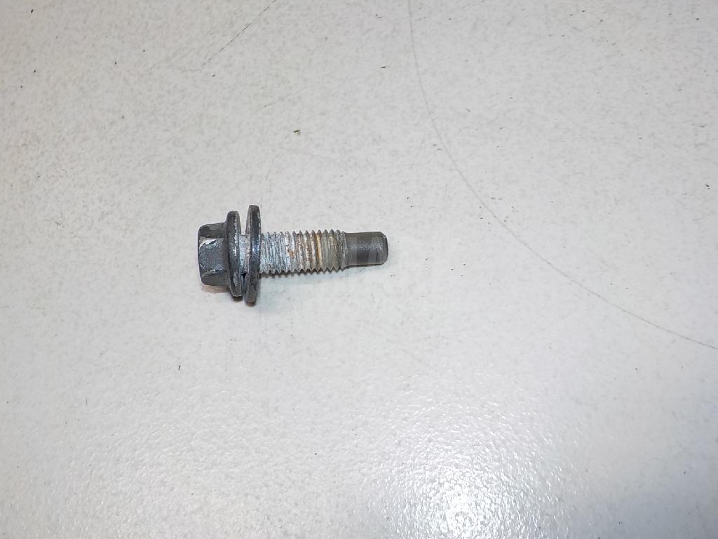 Болт крепления дверной петли 1431605 Ford