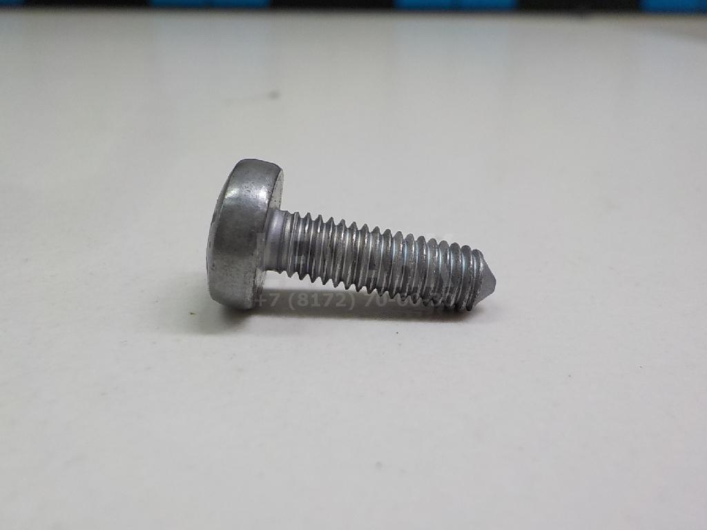 Винт N10661001 VAG