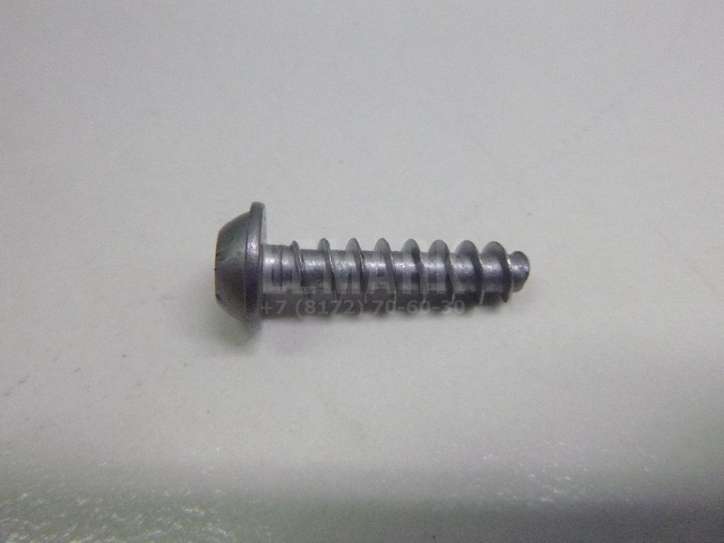Винт N10124309 VAG