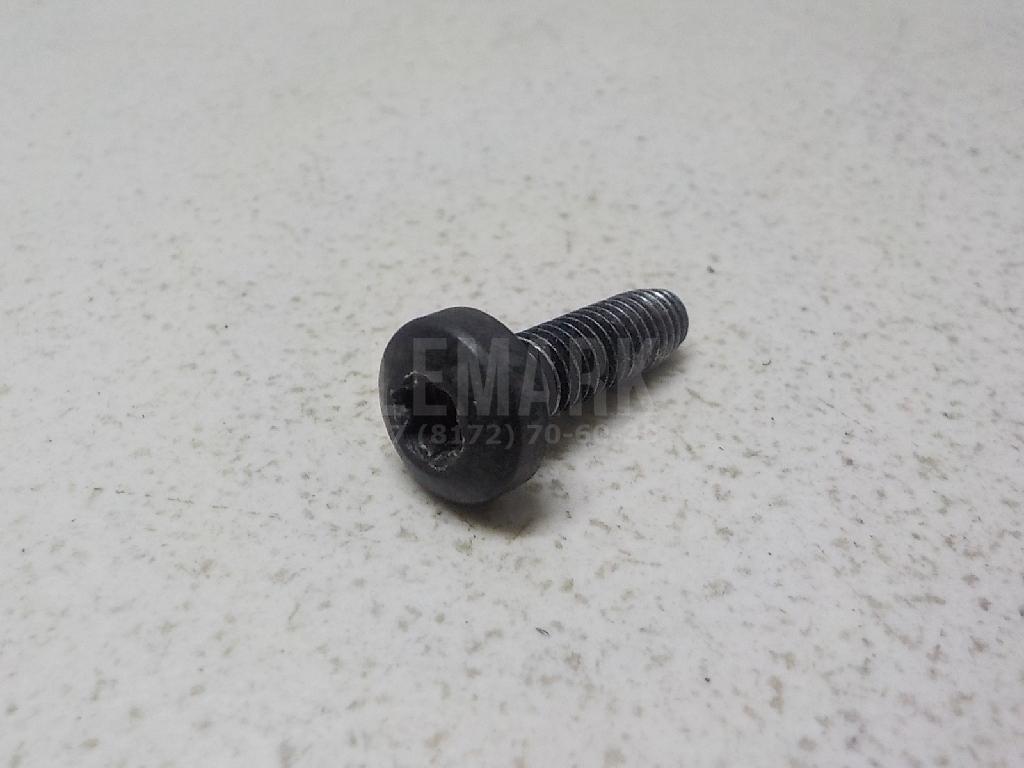 Винт N10124309 VAG
