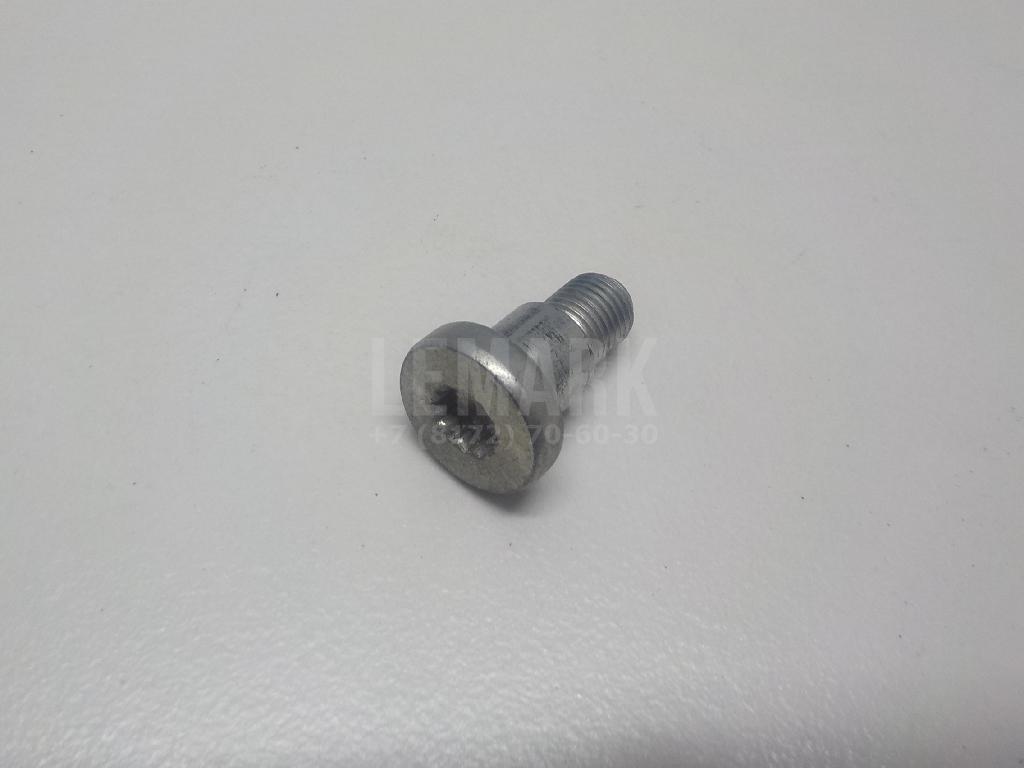Винт N98924802 VAG
